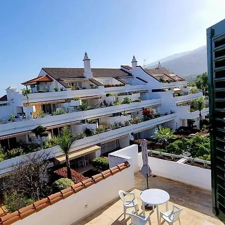 Flor De Tajinaste 2 Puerto de la Cruz (Tenerife)